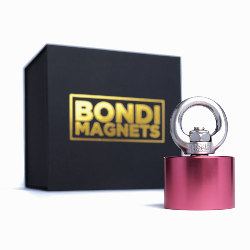 The Nugget Pink magnet